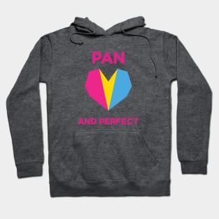 Pansexual and Perfect Hoodie